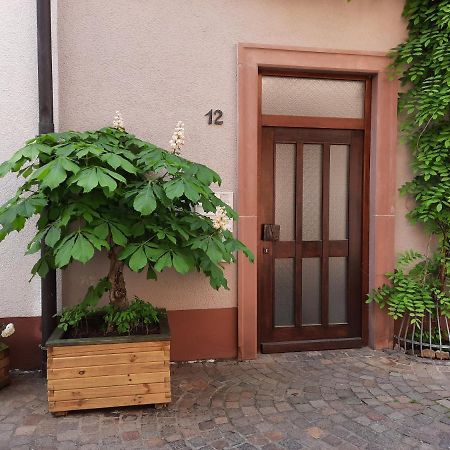 칼슈타트 Alte Bahnhofstrasse 12 아파트 외부 사진