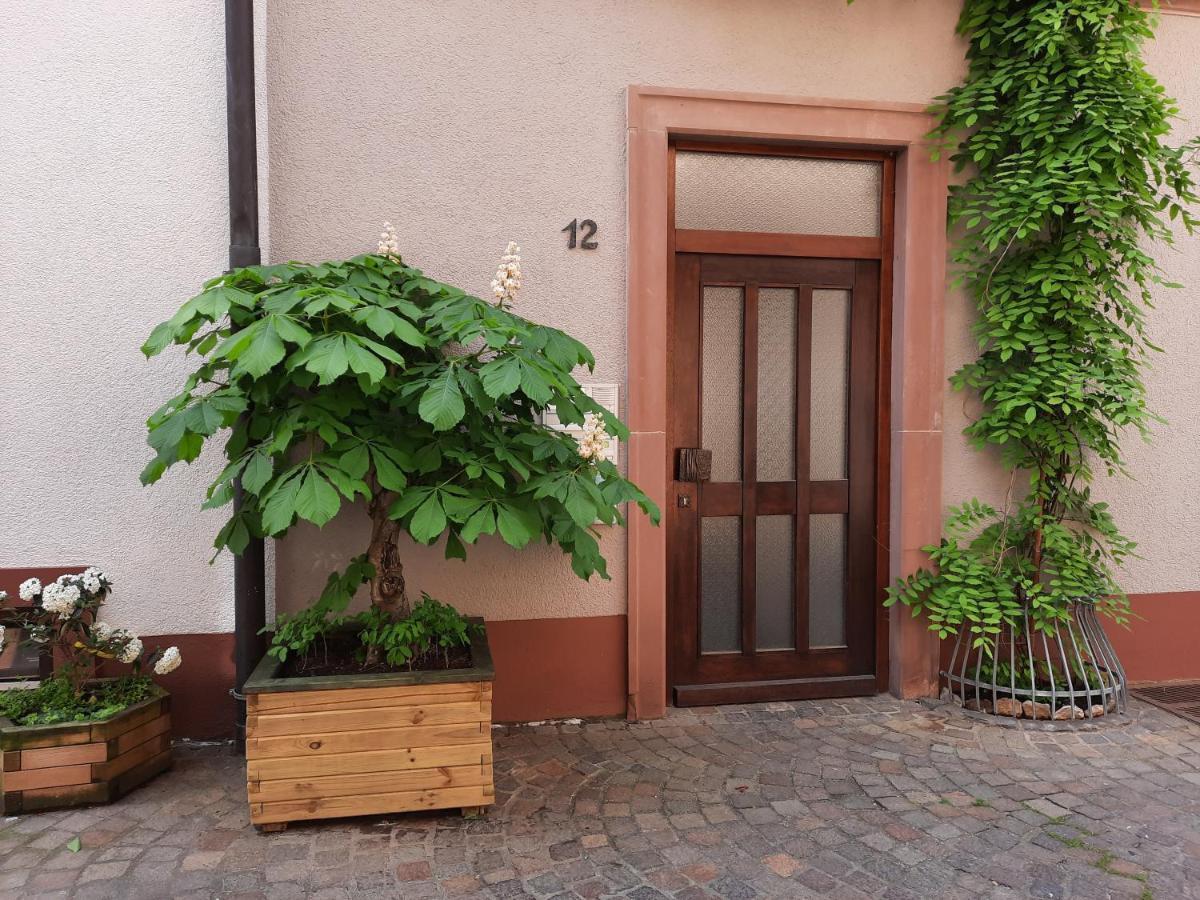 칼슈타트 Alte Bahnhofstrasse 12 아파트 외부 사진